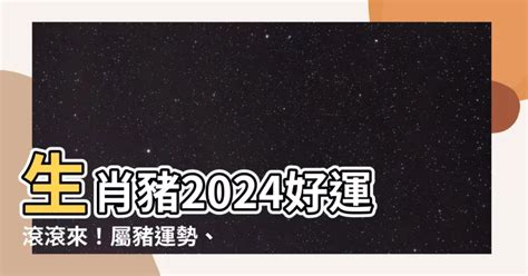 屬豬幸運色2024|【2024 屬豬】屬豬2024好運接踵而來！運勢、幸運色、財位、禁。